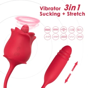 10 Mode Rose Vibrator 3in1 Features