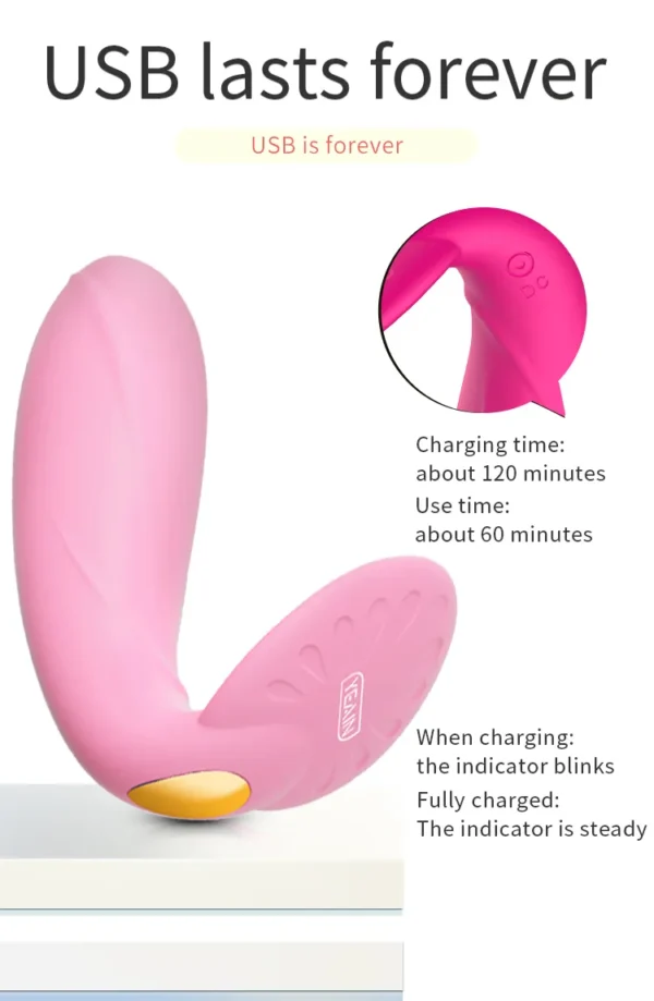 App-Controlled Vibrating Panties Charging