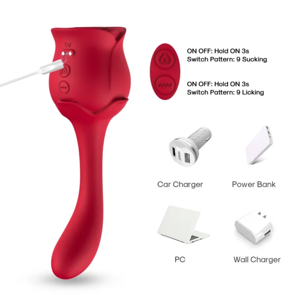 Rose Vibrator Charging Method