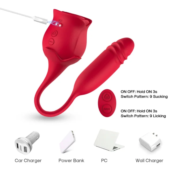 Rose Vibrator Charging Methods