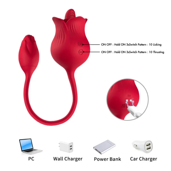 Rose Vibrator Charging Methods