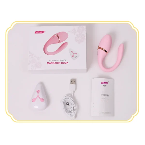 Vibrating Panties Accessories