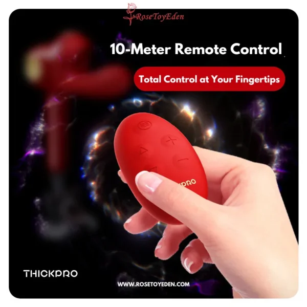 10 Meter Remote Control