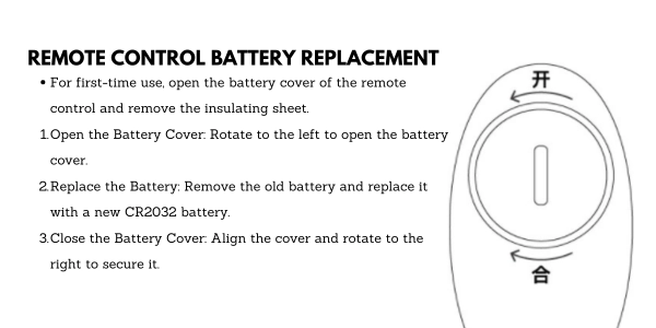 Remote Control Battery Replacement